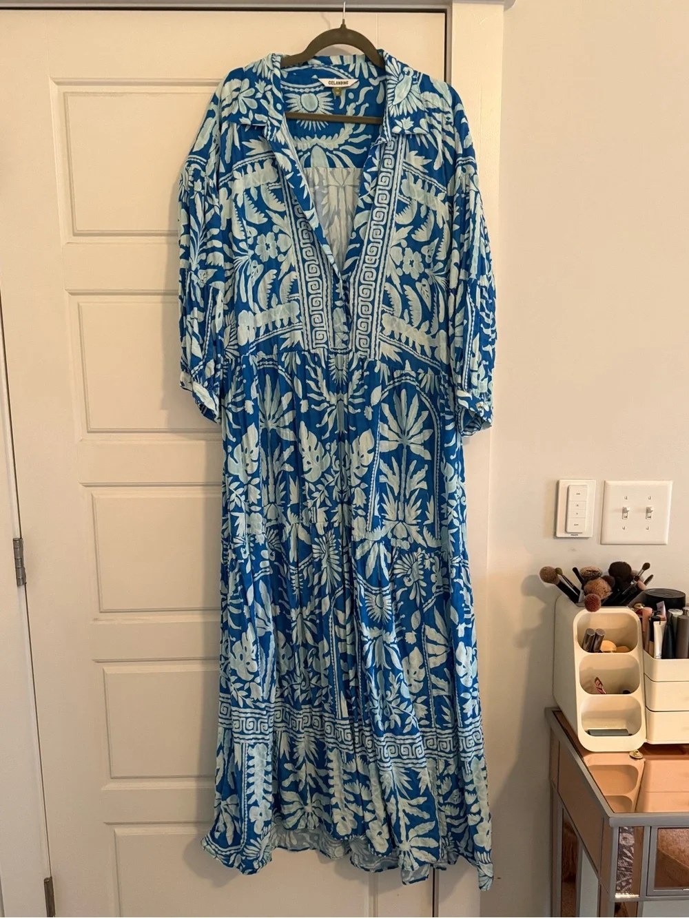 Anthro Carolita Blue Floral Maxi Dress - Picture 1 of 6